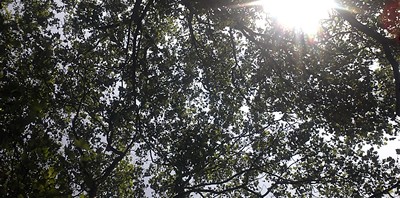 The view from my yoga mat